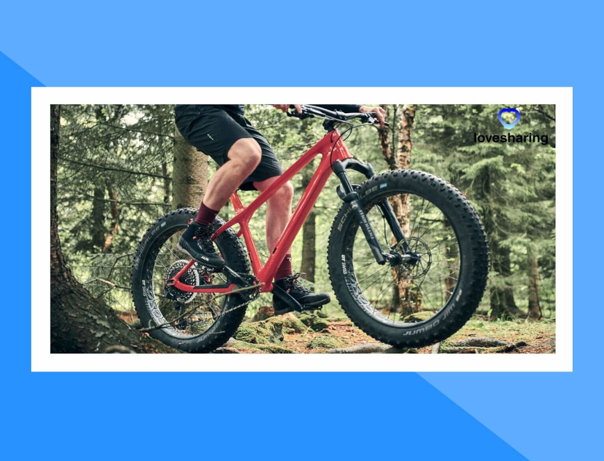 Fat Bikes - Bicicletas eléctricas de rueda gorda