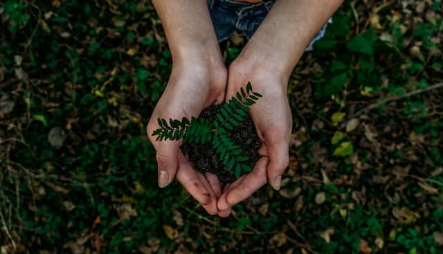 economia circular objetivos plantas